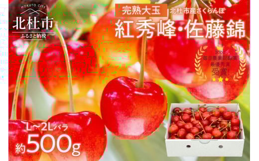 さくらんぼ L～2L 【先行予約】 約500g 毎日農業記録賞 全国最優秀賞 受賞 完熟大玉バラ 紅秀峰 佐藤錦 やまなし GAP 認証 フルーツ グランプリ ※2025年6月中旬以降順次発送 岩原果樹園 山梨県 北杜市 送料無料