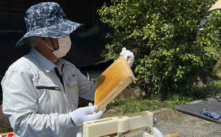 【先行予約】開成町の百花ミツ 140ｇ【合同会社HealthPrime】開成町 蜂蜜 はちみつ ハチミツ 百花[BDAO001]