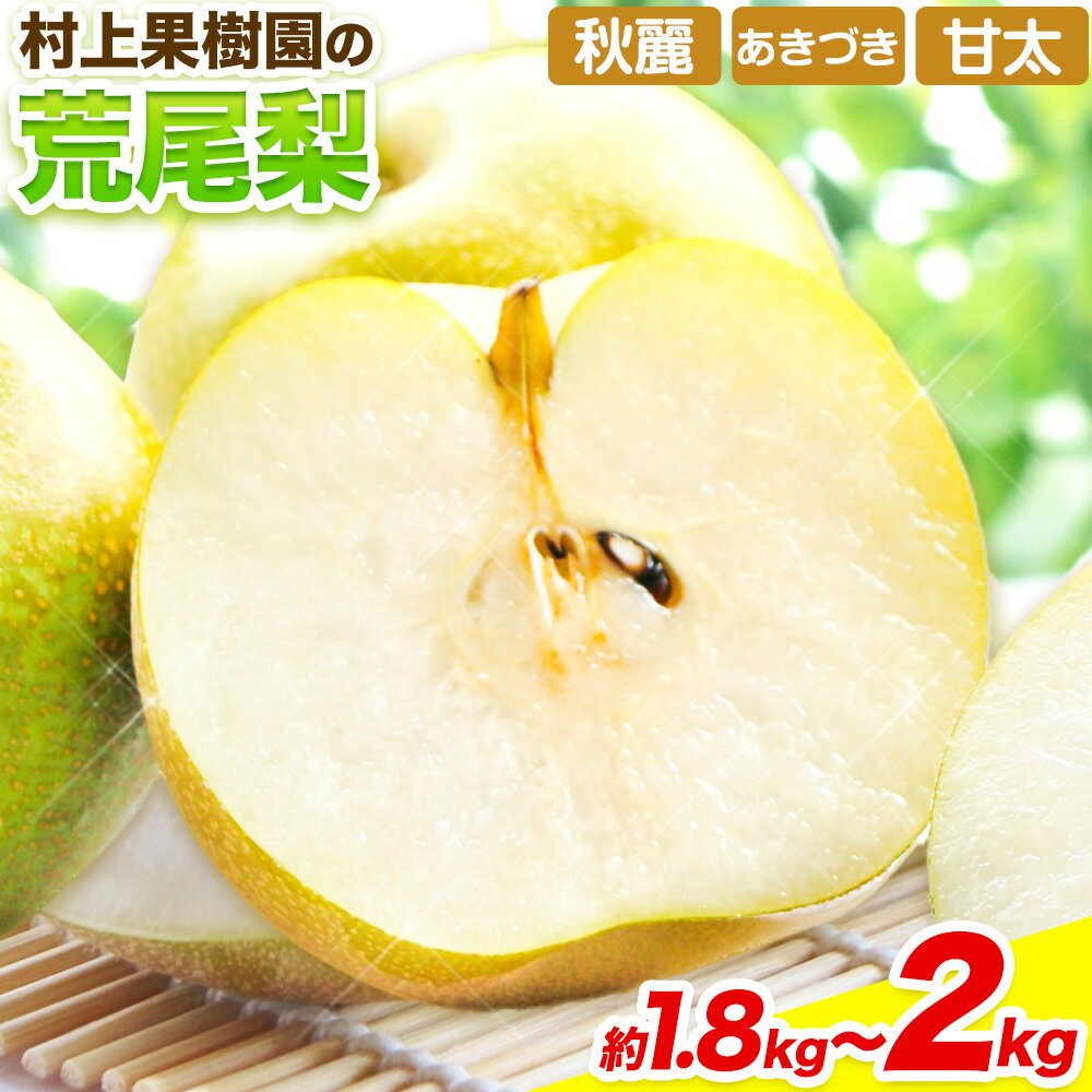 【ふるさと納税】 梨 なし 荒尾梨 約1.8〜2kg 果物 村上果樹園《8月上旬-10月上旬頃出荷》 和梨 あきづき 甘太 秋麗 旬 熊本県 荒尾市 2kg 前後 果物 フルーツ 荒尾市産 国産 冷蔵 ギフト 贈り物 お中元 送料無料