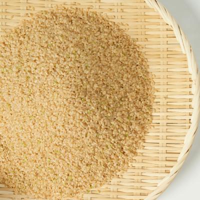 ふるさと納税 宍粟市 【令和7年産】しそうのおいしい お米 キヌヒカリ 玄米 30kg I4 |  | 02