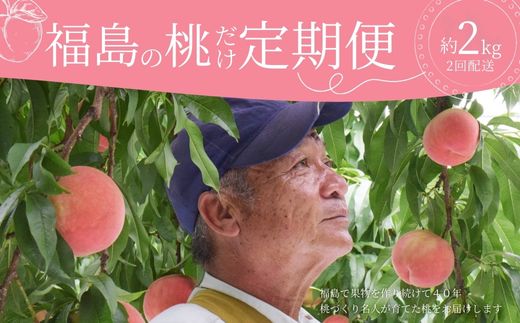 No.2918 ヤマ考紺野果樹園 福島の桃だけ２種定期便各約2kg【2026年発送】