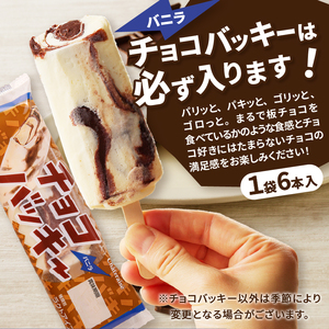 〈2024年3月配送〉チョコバッキーが必ず入る!!【シャトレーゼ】人気アイスバラエティBOX