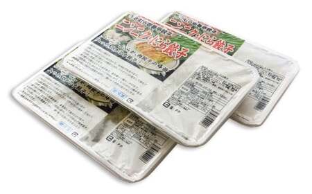 【9ヶ月定期便】ゆきむら壱番亭のニンニクにら餃子3パック(48個入り) ※離島への配送不可