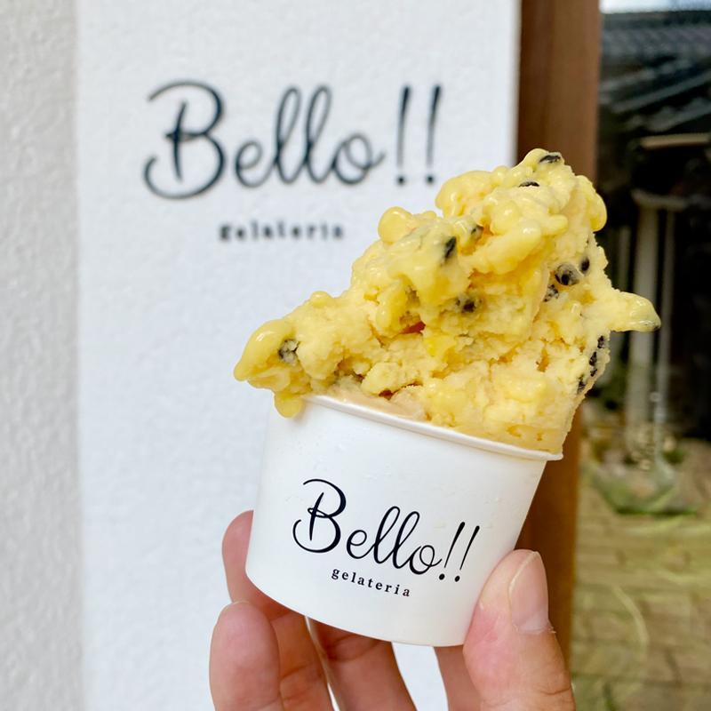 【ふるさと納税】【無添加・無着色】手作り ジェラート 定番人気アソート B｜野洲市 手作りジェラート 無添加 無着色 自然素材 滋賀県産 スイーツ デザート 冷凍 お取り寄せ 通販 ふるさと納税｜