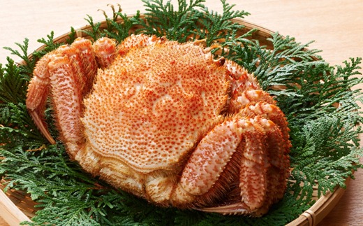 しらぬか産 CAS冷凍特大サイズ毛がに【800g以上】