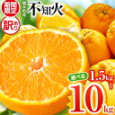 【ふるさと納税】【訳あり】ご家庭用 不知火 1.5kg 5kg 10kg 熊本県 柑橘 フルーツ | 熊本 くまもと 和水町 なごみ しらぬい 訳あり キズ スレ