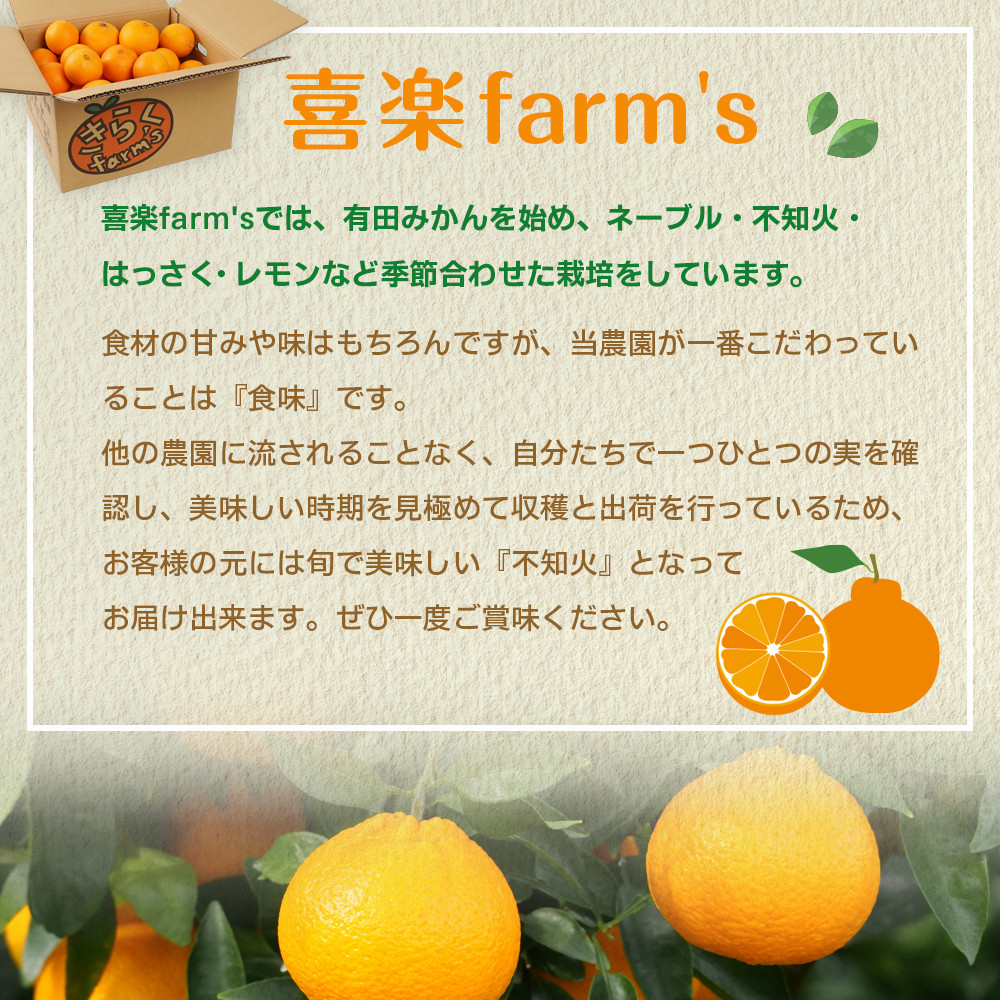 産地直送 有田みかん サイズ 不揃い 約3kg 喜楽farms 【2025年11月以降順次発送】  	AL18_イメージ4