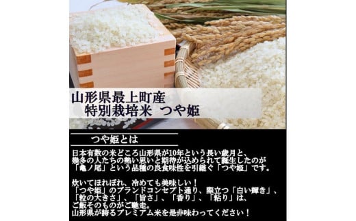 【令和6年産予約】特別栽培米　つや姫　玄米　20kg(10kg×2)