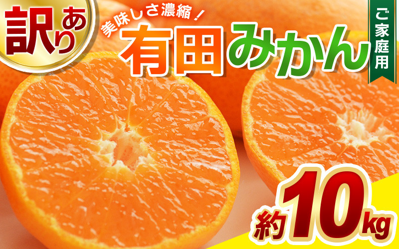 
            ＼光センサー選別／訳あり 有田みかん 約10kg 【ご家庭用】 和歌山県 温州みかん 先行予約【11月中旬から1月中旬までに順次発送予定 　（お届け日指定不可）】 / 訳あり みかん 家庭用 ご家庭用 先行予約【nuk138E】
          