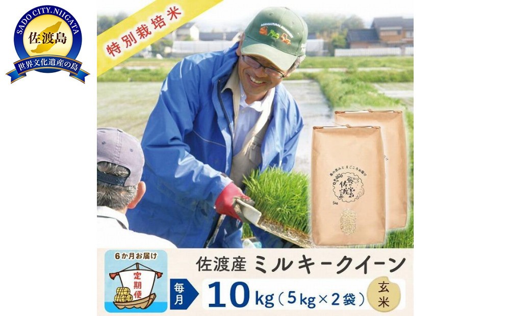 
            【新米予約 6か月定期便】佐渡島産ミルキークイーン 玄米10Kg 令和7年 特別栽培米
          