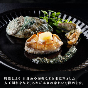 三陸翡翠あわび お手軽ファミリーセット 40g×10個 冷凍 鮑 青空レストラン 蝦夷あわび アワビ 鮑 Abalone ステーキ バターソテー 正月 お正月 おせち 蒸し鮑 バーベキュー BBQ ご