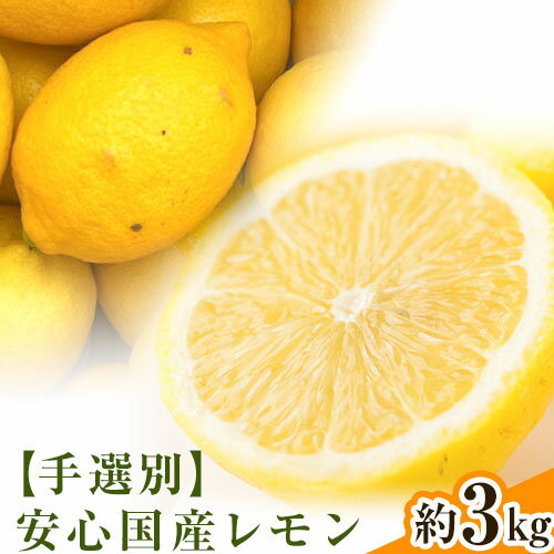 【ふるさと納税】【手選別・産直】紀の川市産の安心国産レモン 約3kg 柑橘《2025年11月出荷》 紀の川市厳選館 和歌山県 紀の川市 フルーツ 果物