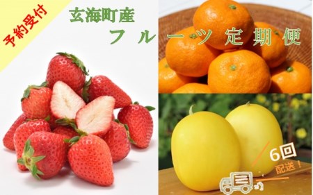 旬のフルーツ定期便（6回）｜フルーツ定期便 フルーツ定期便 フルーツ定期便 フルーツ定期便【Z020】