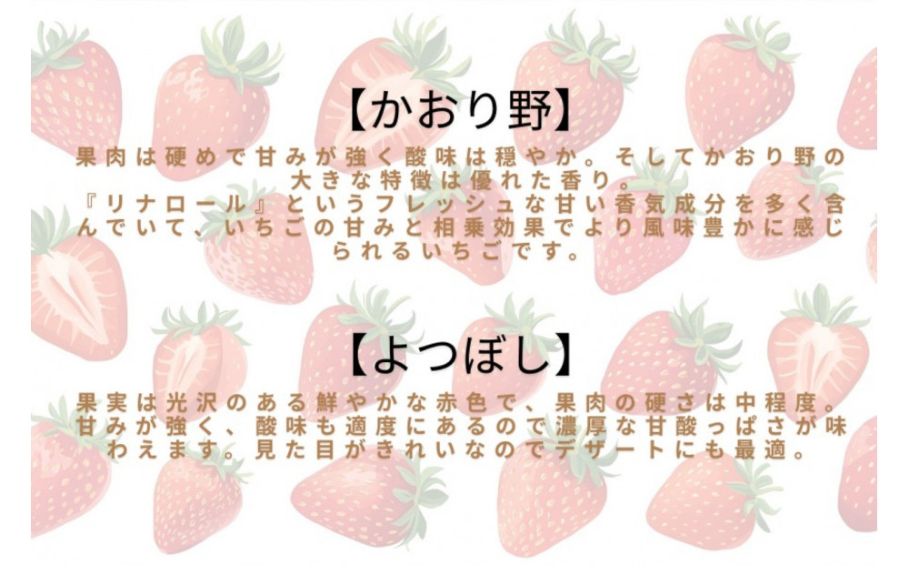 先行予約・数量限定！ 採れたて完熟いちご【かおり野・よつぼし・ベリーポップすず・恋みのり】 9粒～20粒×2箱