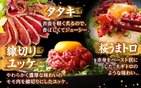 馬刺し 部位堪能 7種 食べ比べ ブロック 計約540g   馬刺し 馬刺し 馬刺し 馬刺し 馬刺し[AYAF019]