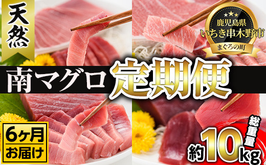 【6ヶ月定期便】南マグロ大トロ、中トロ、赤身を半年間毎月送付　新洋水産（有）【00-019-07-TK】