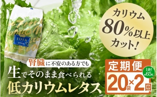 定期便 ≪2ヶ月連続お届け≫ 【機能性×美味しさ】低カリウム水耕レタス JOIA（ジョイア） 約65g×20袋（栽培期間中農薬不使用・洗わず食べられる）【野菜 生野菜 レタス サラダ お弁当 水耕栽培 洗わず食べられる 時短 付け合わせ】[m40-d005]