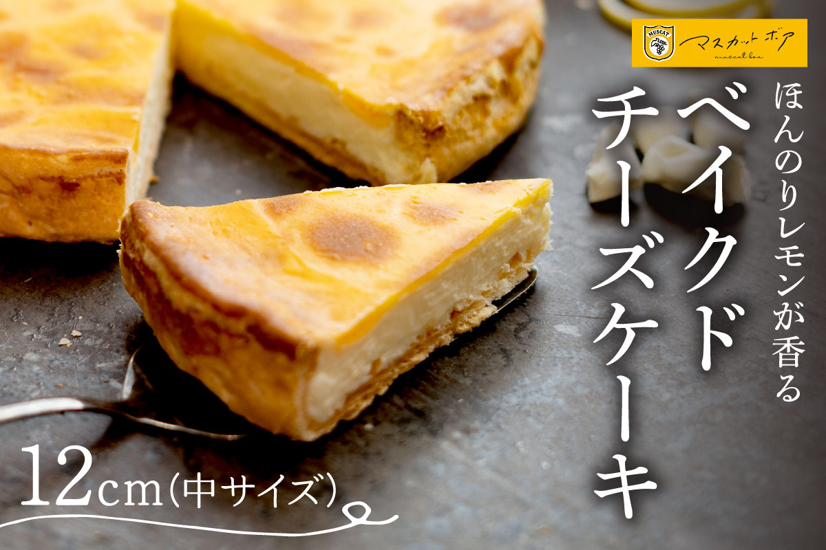 
                  ベイクドチーズケーキ(中)
                