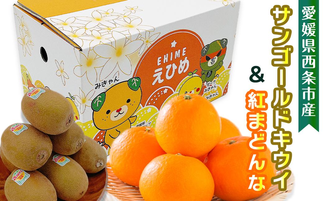 
【先行予約】 愛媛県西条市産 サンゴールドキウイと紅まどんなのセット　※2024年11月下旬～12月下旬頃発送　紅まどんな 柑橘 レインボーレッド キウイ 食べ比べ 詰め合わせ セット
