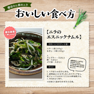【先行予約】【2026年7月から発送】肉厚・シャキシャキ! 朝採れ鮮度抜群! 櫻田さん家のニラ 1kg(100g×10束)、花芽入り（約300ｇ～400ｇ）SMCS003