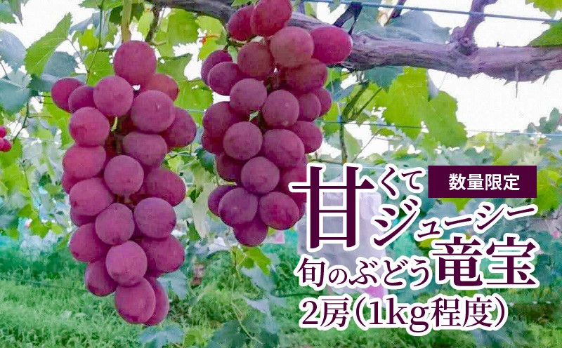 
                  【数量限定】甘くてジューシー産直　旬のぶどう竜宝　2房 （約1.0kg）【 8月上旬よりお届け】 DL-0003
                