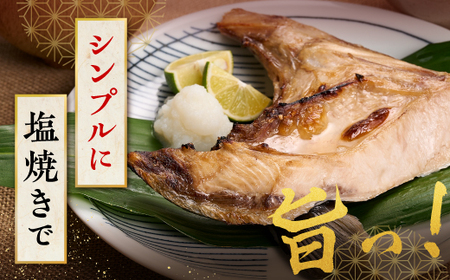 【訳あり】 天然 極寒ブリ ぶりカマ 1kg (4切)_A006-0991