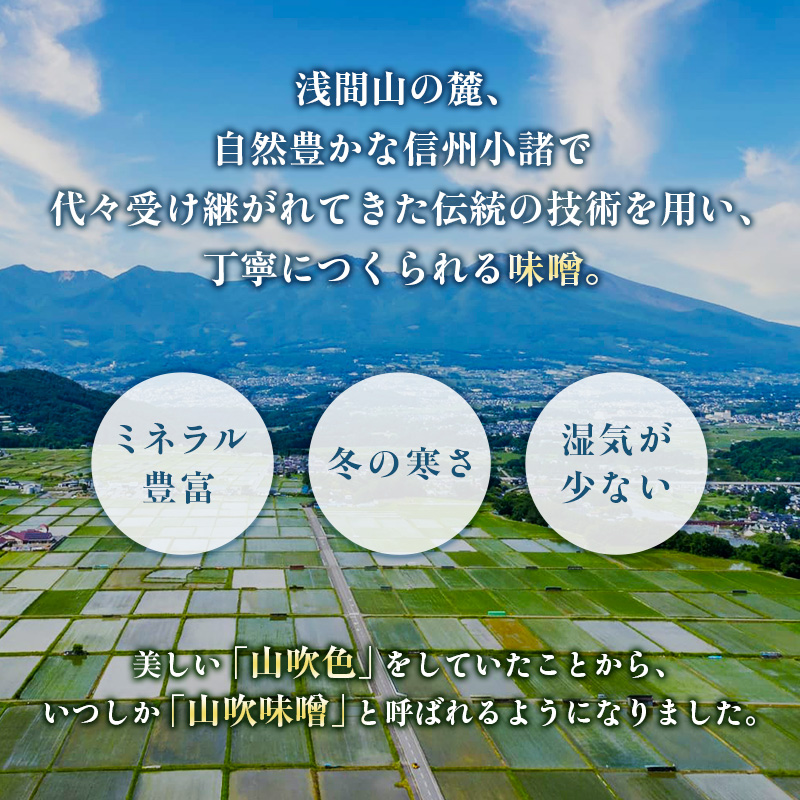【固定月 定期便】山吹味噌　こがね　4kg （1kg×年4回分）