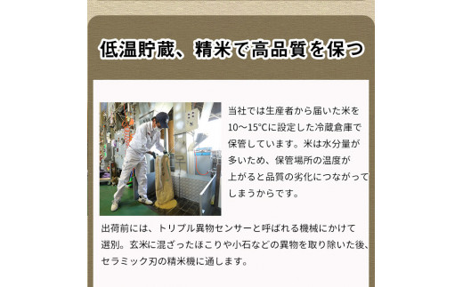 【12月発送】新米 令和8年 京都丹波米 こしひかり10kg◇◆◇ 米 白米 精米 こしひかり精米 京都丹波米精米 白米精米 米つき 精米 こめ コメ つき米 精米済み 精米済 精米後 精米したて 1