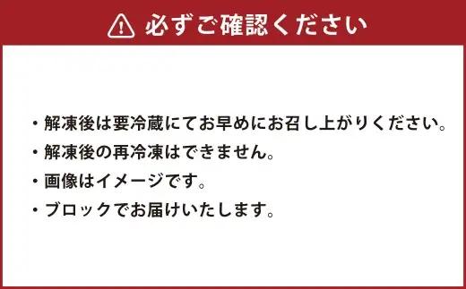 ＜ R8年熊本地震復興支援 ＞熊本 馬刺し 4種 （ 赤身 ・ 霜降り ・ フタエゴ ・ タテガミ ） 各約100g セット 国内肥育 馬肉 ブロック 馬刺 お肉 肉 ニク にく 馬 晩酌 おつまみ 