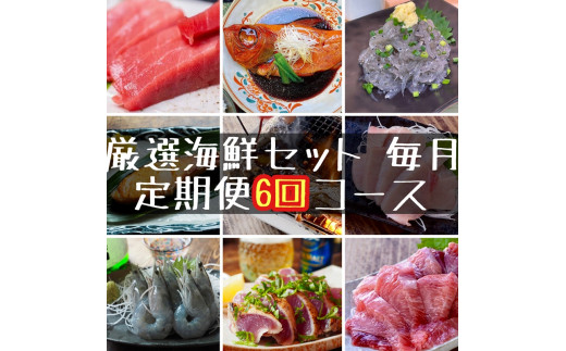 
【定期便6ヶ月】まぐろや　特別セット【 惣菜 まぐろ 鮪 本鮪 サーモン 海老 お刺身 海鮮 セット 福袋 キンメ きんめ お取り寄せ 御中元 お中元 お歳暮 父の日 母の日 贈り物 日本酒 焼酎】【 神奈川県 小田原市 】
