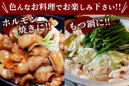 【 年内お届け 】熊本県産 あか牛 ミックス ホルモン 1kg（500g×2パック） ※12/19-27発送※ もつ鍋 焼肉 ホルモン 焼き BBQ 熊本県 あか牛 牛肉 046-0644-R712