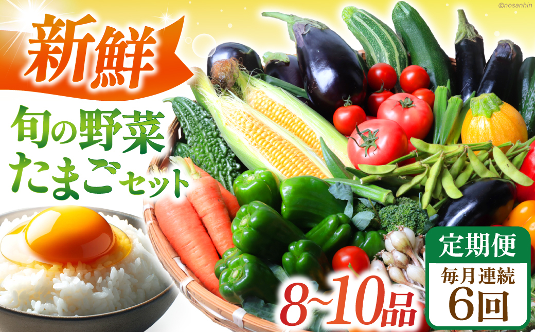 
            【全6回定期便】 新鮮 旬の野菜・たまごセット（8品〜10品） 長崎県/長崎県農産品流通合同会社 [42AMAE019]
          