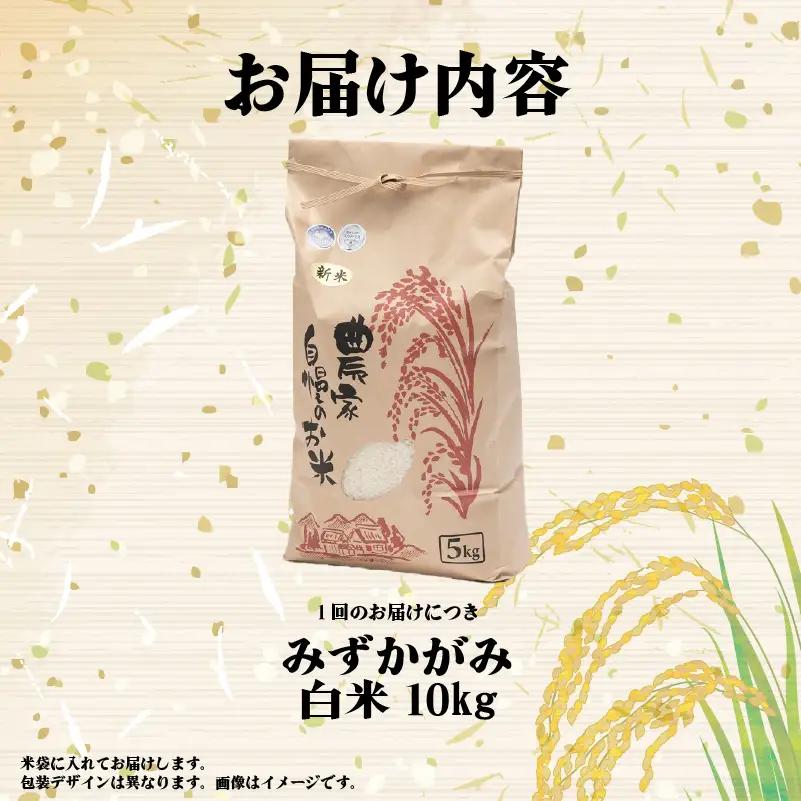 【先行予約】令和8年産 みずかがみ 10kg 定期便 12ヶ月 白米 米 