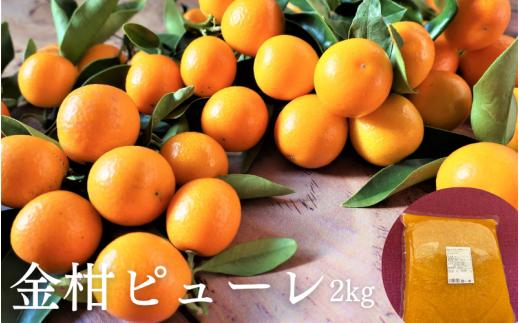 串本町 特産の金柑を使った きんかんピューレ 2kg【bhrp002】