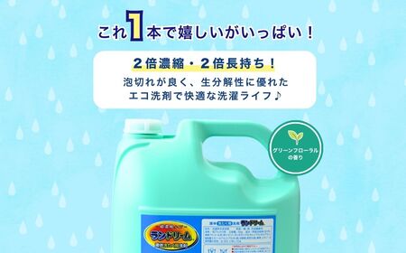 濃縮液体洗剤 ランドリーム 5kg ×3個 詰替用 | 洗濯洗剤 液体洗剤 洗濯洗剤 液体洗剤 洗濯洗剤 