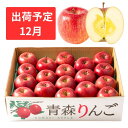 【ふるさと納税】12月 特A 蜜入り サンふじ 約5kg 糖度13度以上【青森りんご・マルコウアップル】　果物類・林檎・りんご・リンゴ　お届け：2024年12月1日～2024年12月30日