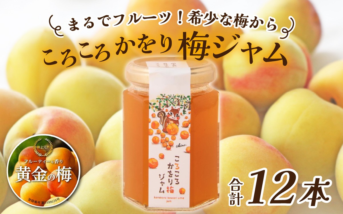 
            まるでフルーツ！希少な梅から「ころころかをり梅ジャム」12本 [D-178004] / 梅 うめ 加工品 調味料 ジャム 季節ジャム パン ジャムティー ヨーグルト 料理 手造り 詰合せ お取り寄せ 送料無料
          