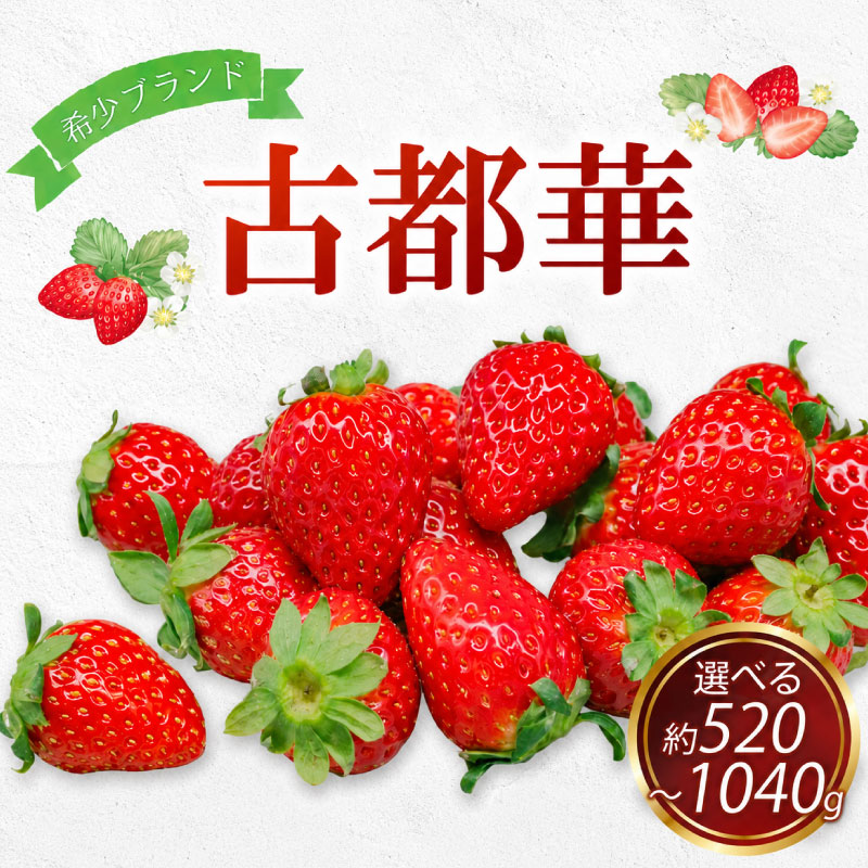【ふるさと納税】2027年発送 数量限定 奈良のブランドいちご 古都華 約520g~1040g イチゴ 産地 直送 フレッシュ スイーツ スムージー フルーツ 果物 国産 ベリー 贈答用 プレゼント ふるさと納税 ふるさと おすすめ 限定 奈良県 奈良市 なら ファーム和だや fwd004_R9_OYA