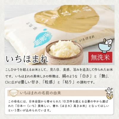 ふるさと納税 坂井市 【令和6年産】福井県のブランド米 いちほまれ 無洗米 5kg[A-6108] |  | 01