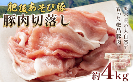 肥後あそび豚切落し 4kg 株式会社さつま屋産業《90日以内に出荷予定(土日祝除く)》 ぶた ブタ 豚肉 肉 ブランド豚 切り落とし 国産 九州産 熊本県産 菊池市産 冷凍 送料無料