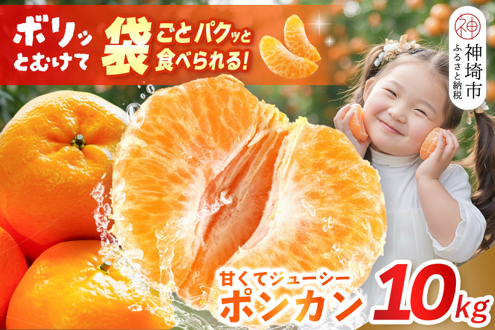 【2026年1月上旬より発送開始】ポンカン 10kg【みかん 柑橘 フルーツ デザート 貯蔵 高糖度】(H116147)