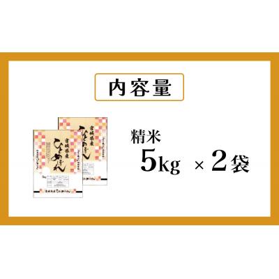 ふるさと納税 石巻市 米 ひとめぼれ 精米 10kg 令和7年産 白米 ヒトメボレ お米 ごはん ご飯 |  | 02