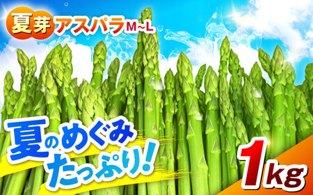 【先行予約】 【数量限定】山鹿市産 いけだ農園のアスパラガス 夏芽(MからLサイズ)　1kg【いけだ農園】[ZFP001]