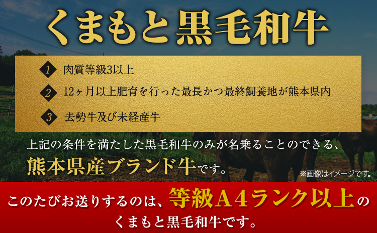 くまもと黒毛和牛 リブロースステーキ 500g ( 250g x 2枚 ) 牛肉 冷凍 《30日以内に出荷予定(土日祝除く)(土日祝除く)》 くまもと黒毛和牛 黒毛和牛 冷凍庫 個別 取分け 小分け 個包装 ステーキ肉 にも リブロースステーキ---gkt_fribu_30d_24_18000_500g---