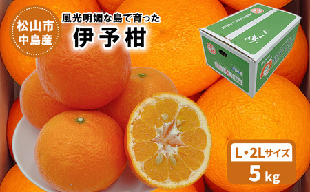 【発送は1月下旬から】 松山市中島産 伊予柑 Lから2Lサイズ 5kg （ 国産 愛媛みかん 愛媛ミカン みかん ミカン mikan 蜜柑 柑橘 フルーツ 果物 くだもの お取り寄せ 産地直送 数量限定 人気 おすすめ 愛媛県 松山市 送料無料 フジ・アグリフーズ）【FA0161】