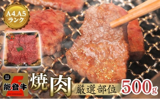 【復興支援】【A4・A5】能登牛 焼肉用厳選部位 500g