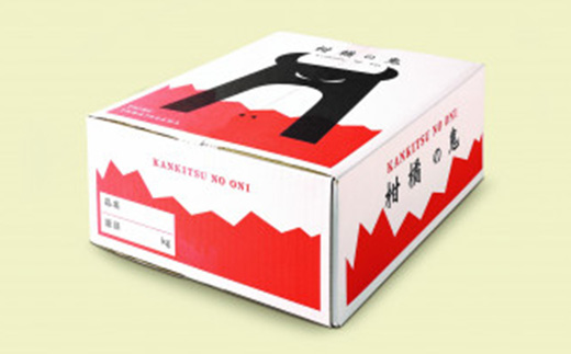 八幡浜産・不知火10kg【訳あり】【C56−40】【配送不可地域：離島】【1479305】