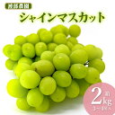 【ふるさと納税】【令和7年産先行予約】 シャインマスカット 約2kg(3～4房)　白品種ぶどう