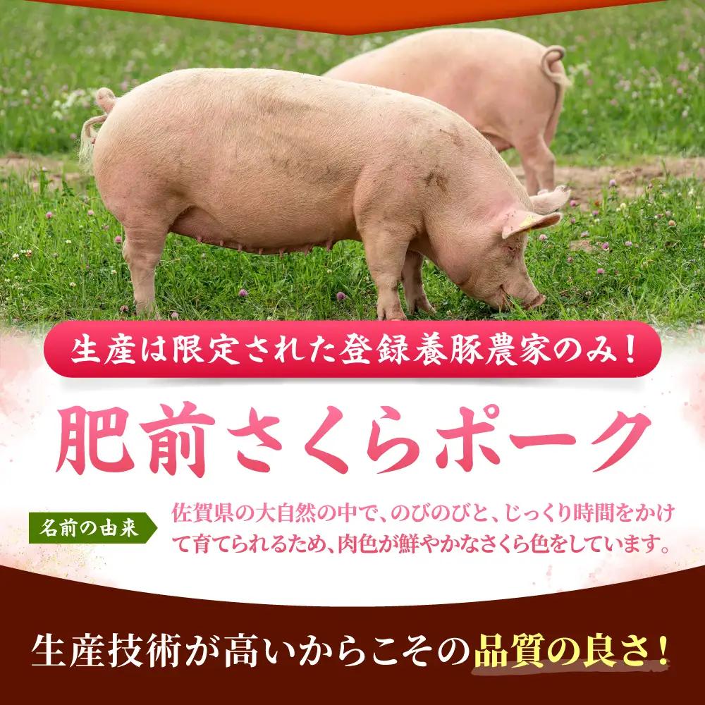 肥前さくらポーク 切り落とし 500g × 2パック 計 1kg 切り落とし 豚 豚肉 吉野ヶ里町/上場食肉[FDQ006]