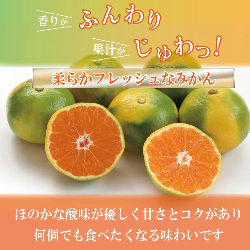 【2026年10月順次発送】 極早生みかん 5kg 温州 みかん